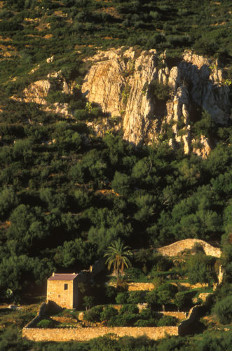 esthétique écologie - Tonì Casalonga - Quì magazine