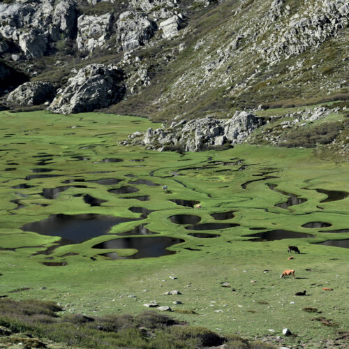 Zones humides - Wetlands - éclairage - Quì Magazine Vol.7